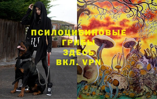 кокаин Тайга
