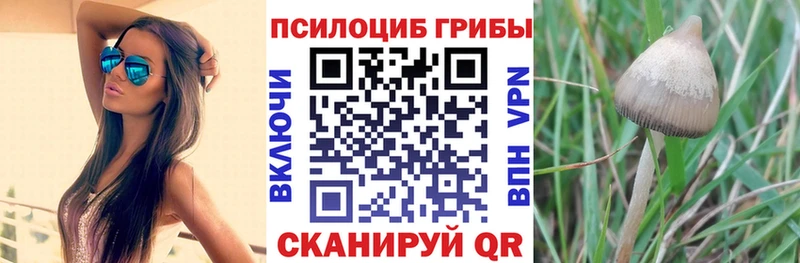 Галлюциногенные грибы ЛСД  цены наркотик  Демидов 